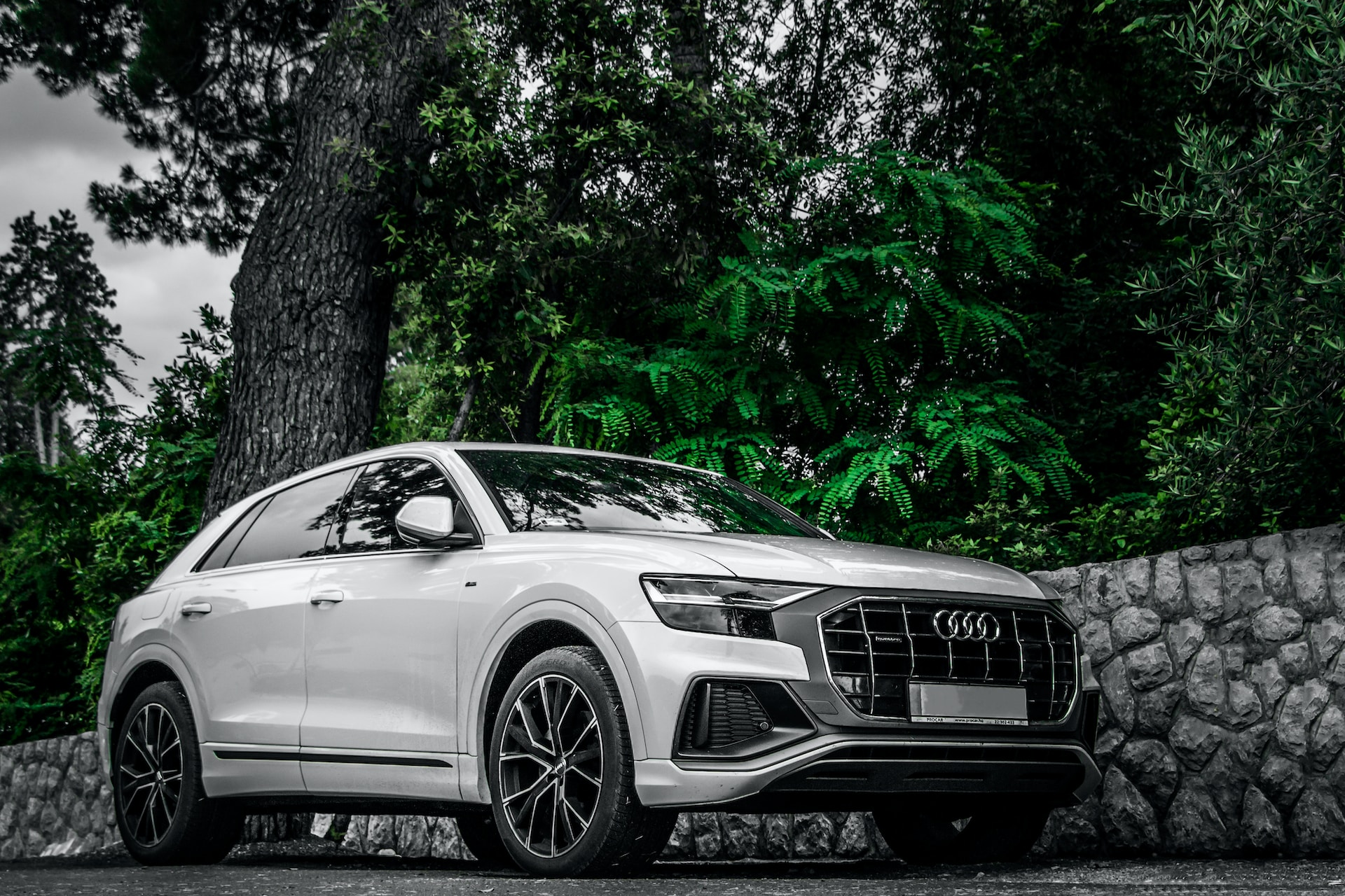 White Audi Q8